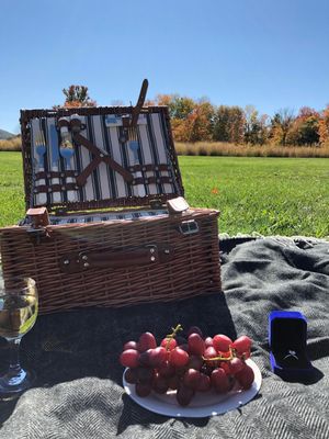 Picnic proposal idea