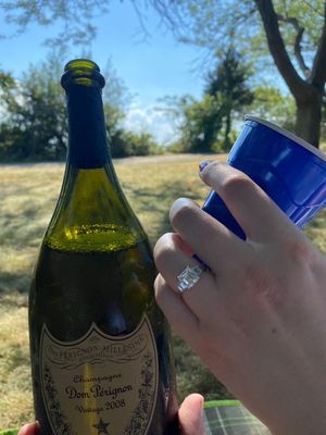 picnic in park proposal idea